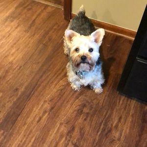 Meet your Posher, Holly